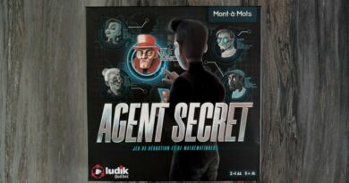 Critique: Agent Secret