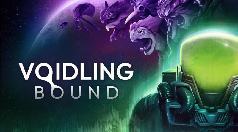 Critique: Voidling Bound